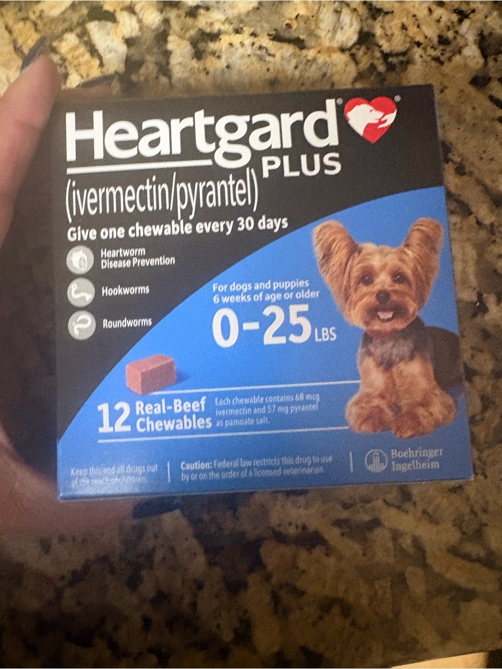 12month Heartgard